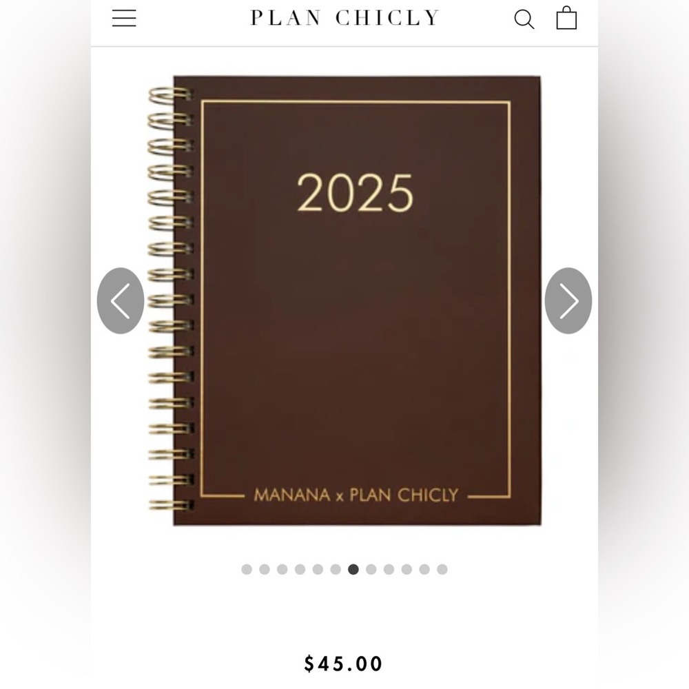 Plan Chicly 2025 Planner